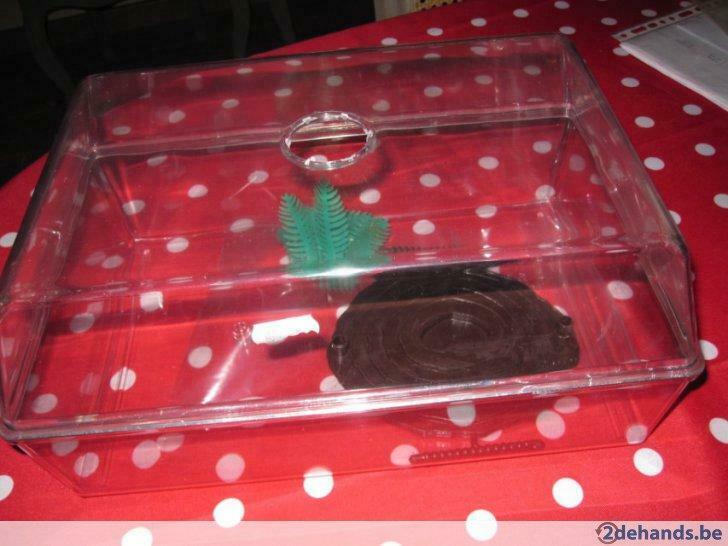 terrarium, Nieuw