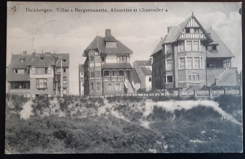 DUINBERGEN VILLAS Alouettes 1910, Verzamelen, Ophalen