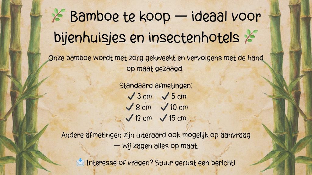 Bamboe te koop, ideaal voor bijenhuisjes en insectenhotels, Tuin en Terras, Ophalen of Verzenden, Nieuw