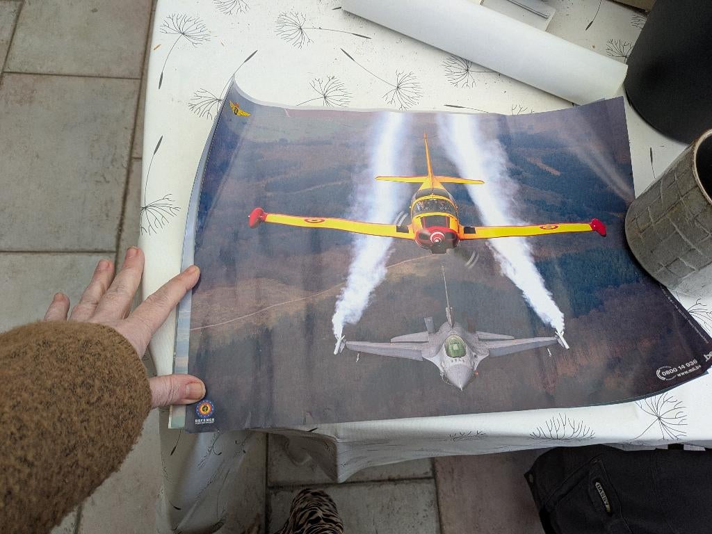 Vliegtuig leger, Ophalen of Verzenden, Luchtmacht, Foto of Poster