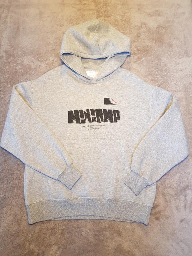 Pull à capuche - taille 164, Enfants & Bébés, Vêtements enfant | Taille 164, Garçon, Enlèvement ou Envoi, Pull ou Veste, Zara