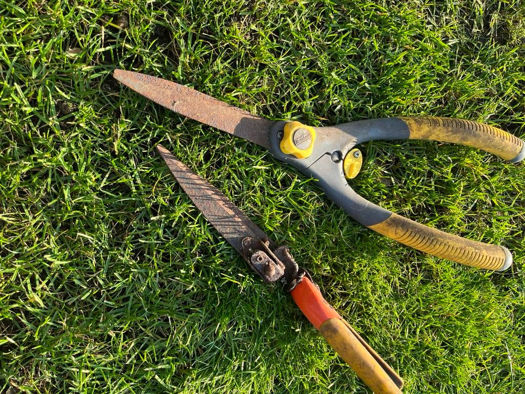 2 soorten snoeischaren en grasschaar?, Tuin en Terras, Heggenscharen, Ophalen of Verzenden, Gebruikt, Handmatig