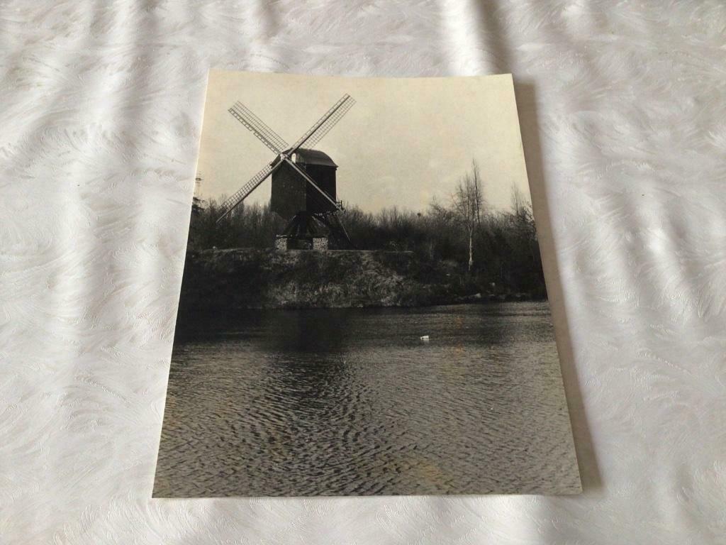 De Lindenmolen te Diest oude foto 1979 erfgoed Diest, Ophalen of Verzenden, Gebruikt, Foto