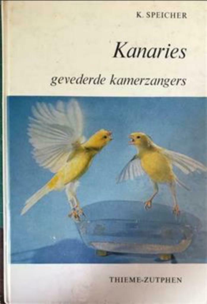 Kanaries, kamerzangers, Enlèvement ou Envoi, Utilisé, Oiseaux