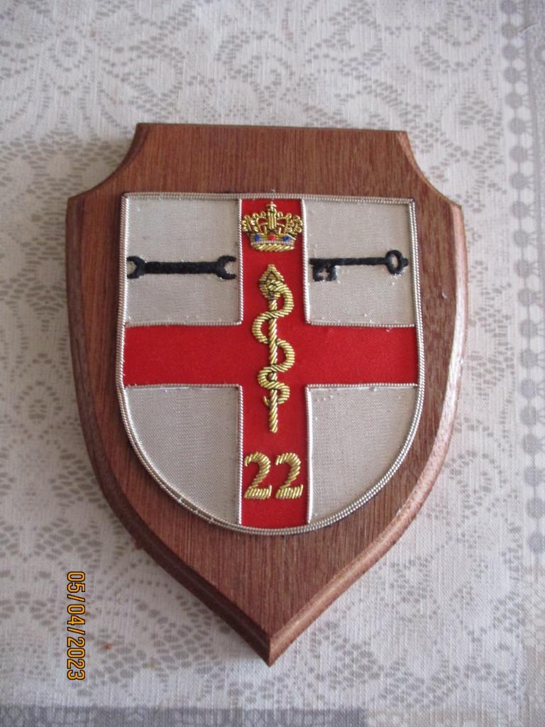 Crest 22e Cie Medical, Verzamelen, Militaria | Algemeen, Ophalen of Verzenden, Landmacht
