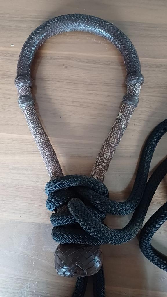 Mooie Bosal, Enlèvement
