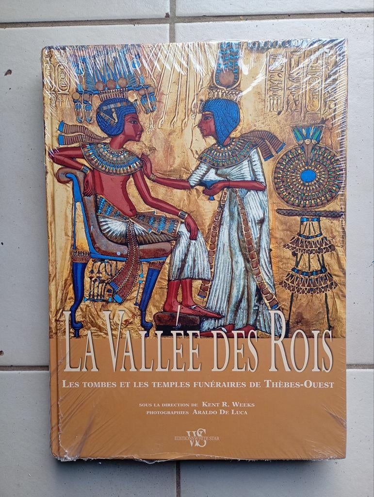 La Vallée des Rois Tombes Temples à Thèbes-ouest neuf, Boeken, Esoterie en Spiritualiteit, Ophalen of Verzenden, Nieuw, Ziel of Sterfelijkheid