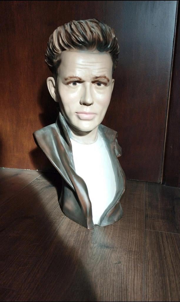Gipsen buste van James Dean, Ophalen, Zo goed als nieuw, Mens