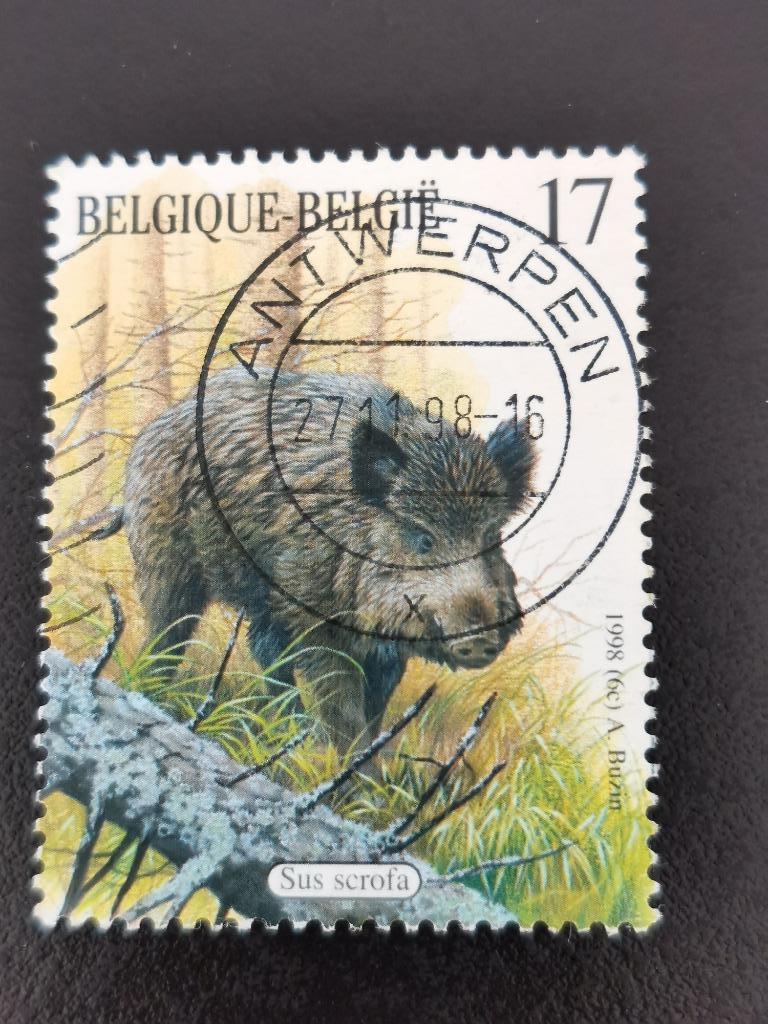 Belgie 1998 - Zoogdieren van de Ardennen - Everzwijn, Ophalen of Verzenden, Gestempeld, Overig