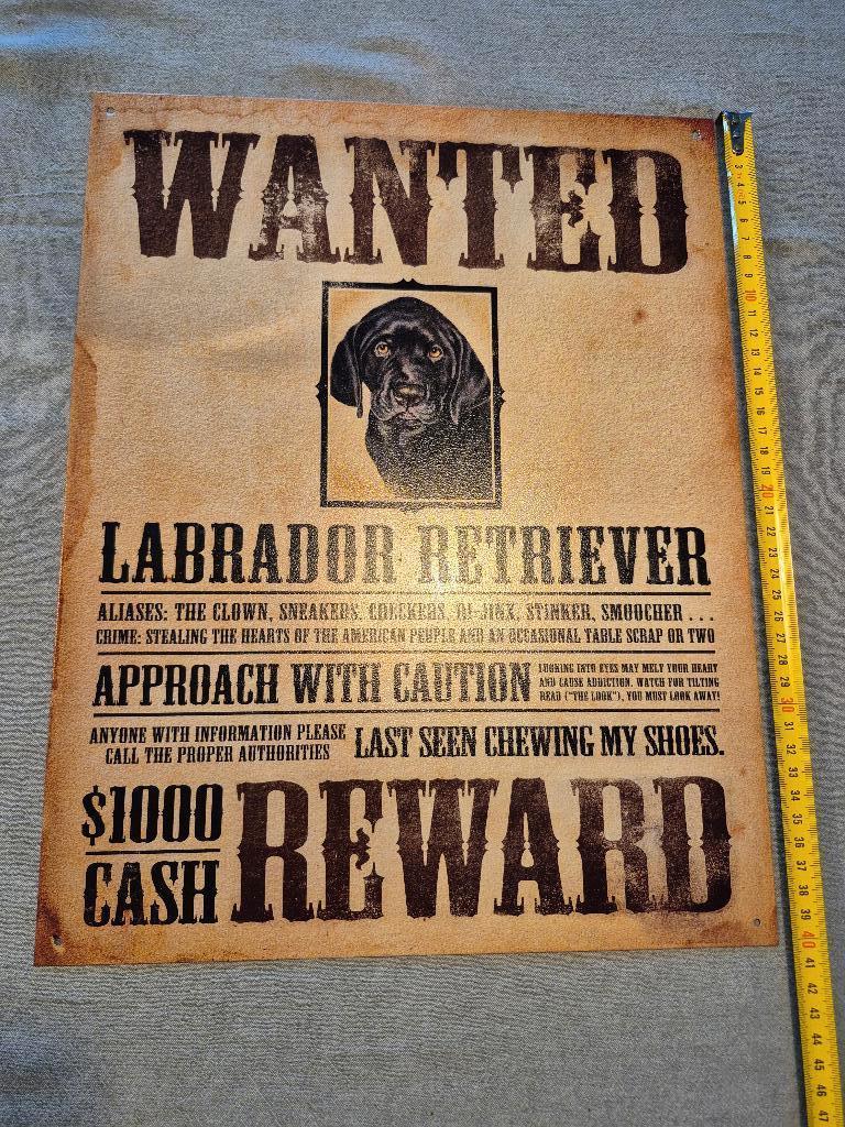 Plaque publicitaire usa wanted dog, Enlèvement ou Envoi, Neuf