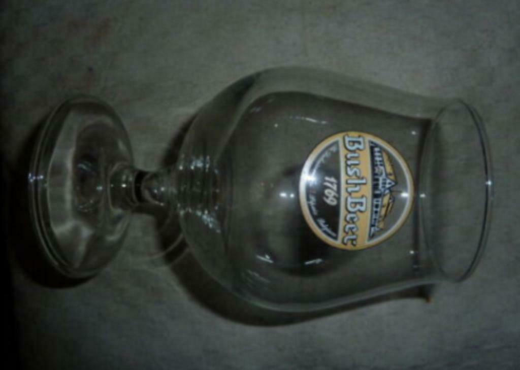 #D bier glas BUSH BEER 1769 Brasserie Dubuisson - Pipaix, Verzamelen, Ophalen of Verzenden, Nieuw, Bierglas