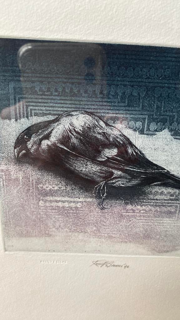 Walter F. Brems - Dode Vink - 1986, Antiek en Kunst, Ophalen