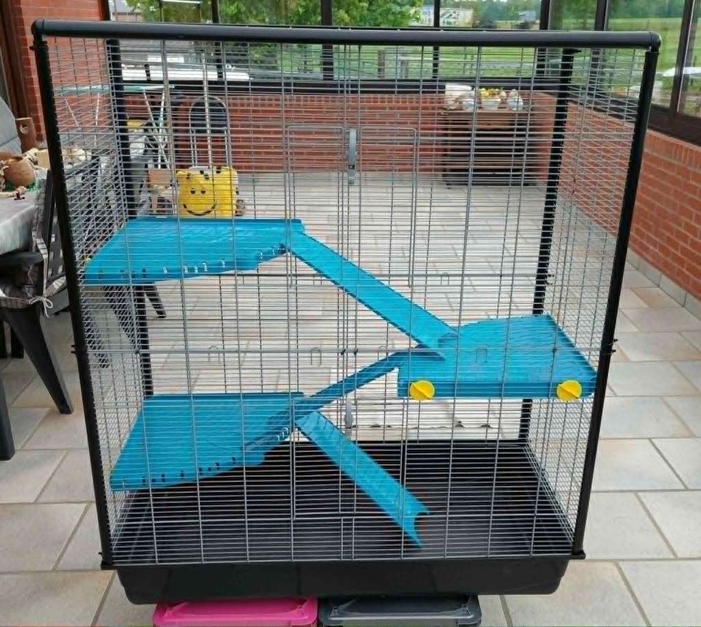 ratten kooi, Dieren en Toebehoren, Ophalen, Gebruikt, 90 cm of meer, 75 tot 110 cm