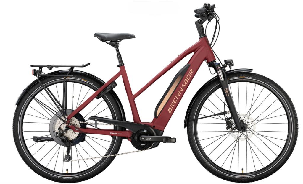 Vélo éléctrique Bruxelles, Vélos & Vélomoteurs, Enlèvement