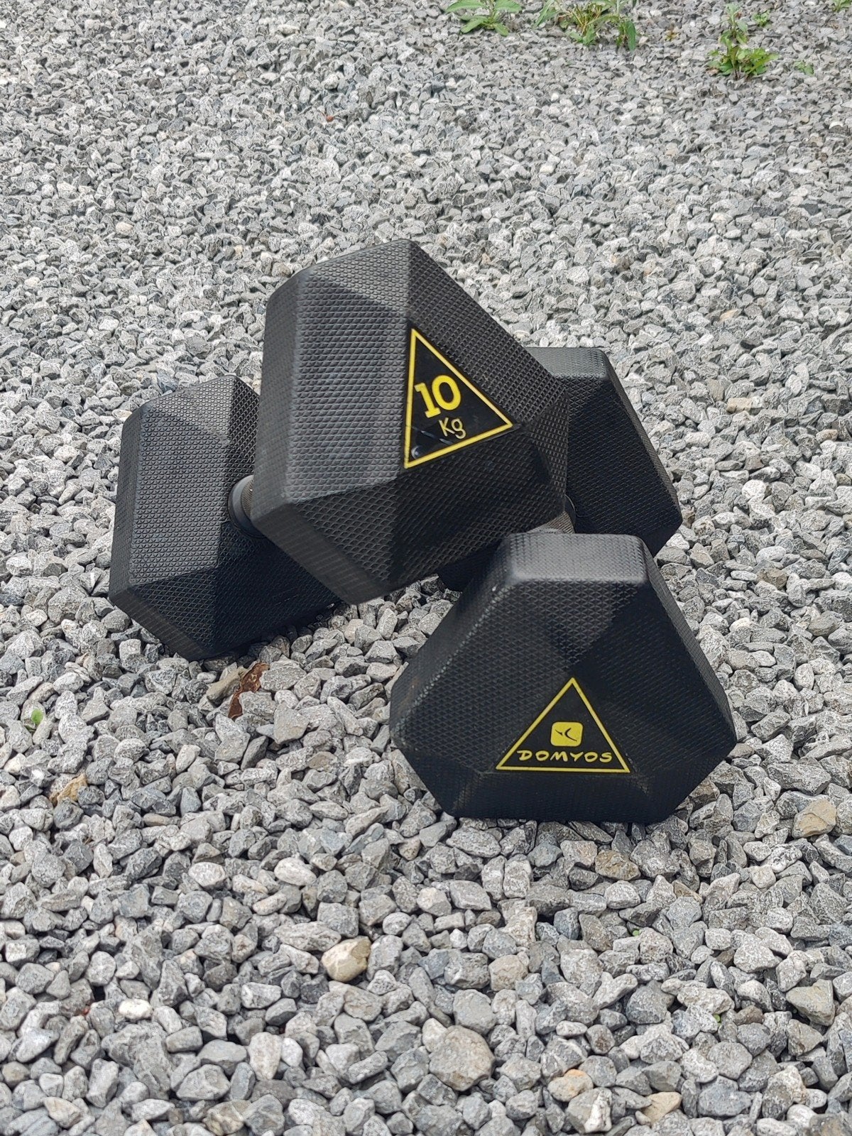 Domyos dumbbels 10kg, Enlèvement