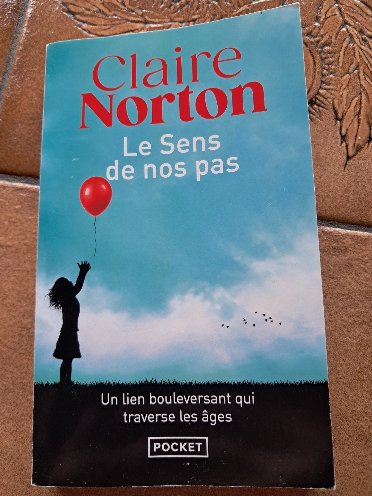 De betekenis van onze stappen - C.Norton, Europa overig, Claire Norton, Ophalen of Verzenden, Zo goed als nieuw