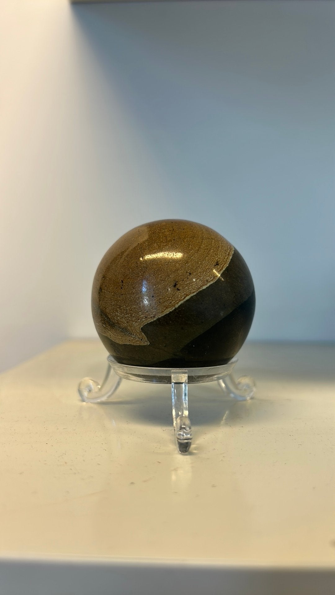 Boule de bois fossilisee ou bois pétrifié madasgacar, Collections, Enlèvement ou Envoi, Fossile