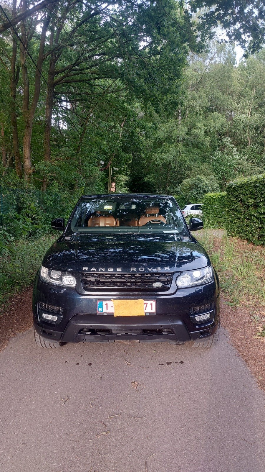 Range Rover Sport HSE  3.0 Tdv6.       7 Zitplaatsen, Auto's, Blauw, Airconditioning, Diesel, Particulier