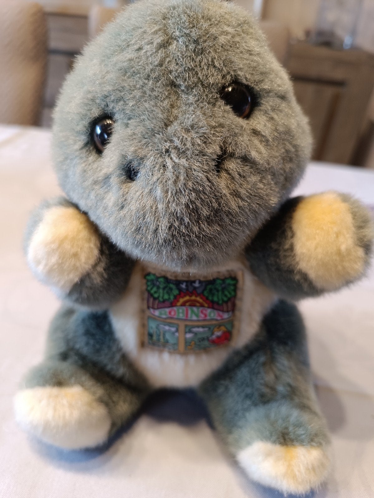 Schildpad Robinson (Bon Ton), Ophalen of Verzenden
