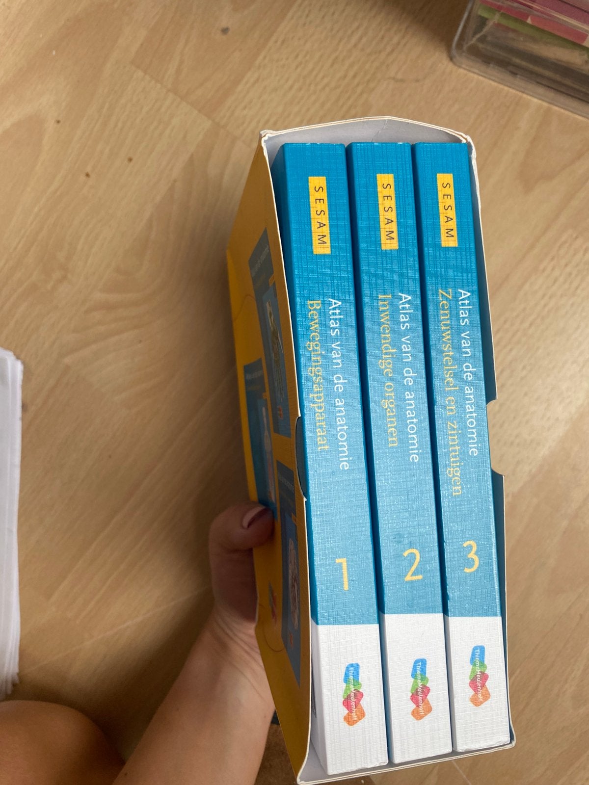 Atlas van de Anatomie Sesam Pocket editie, Livres, Enlèvement ou Envoi, Comme neuf
