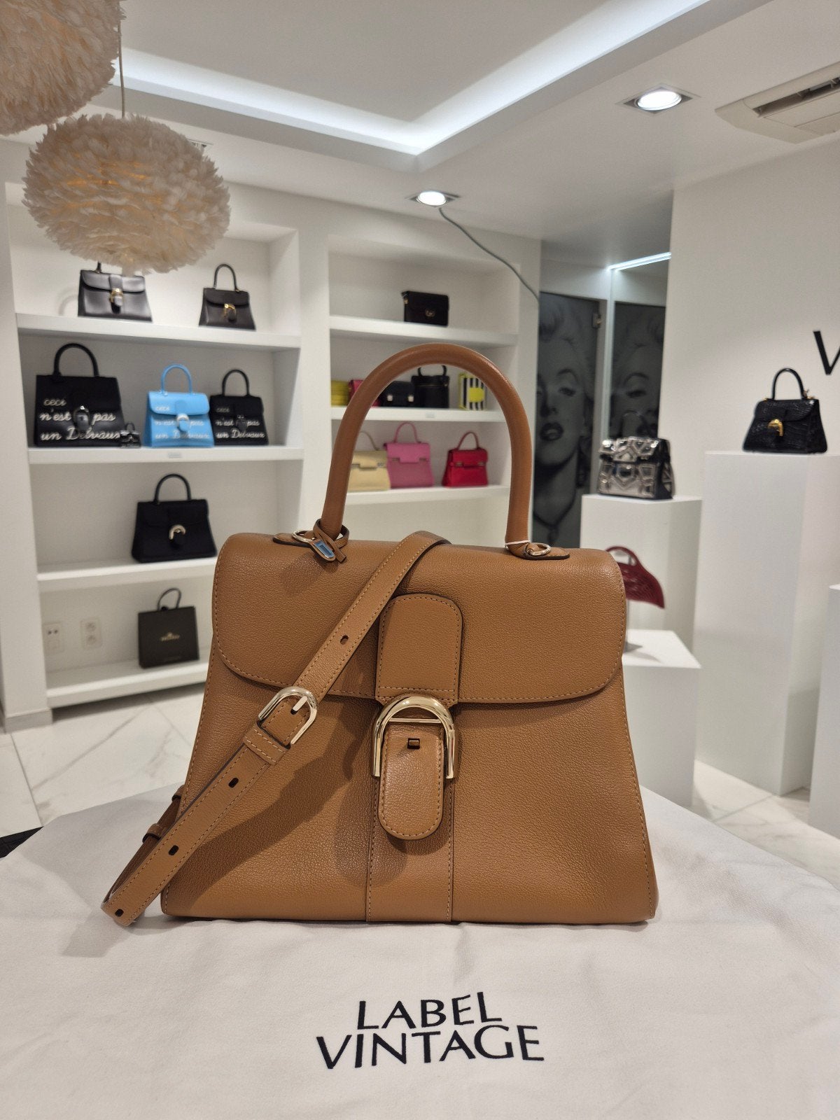 Delvaux Brillant MM Vegetal, Ophalen, Zo goed als nieuw, Bruin, Handtas