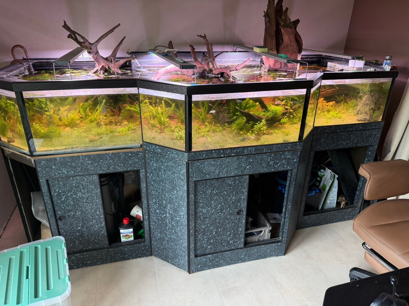 Uniek shallow aquarium - 850 liter incl inhoud, Plantes incluses, Oase, Aquarium d'eau douce rempli, Enlèvement