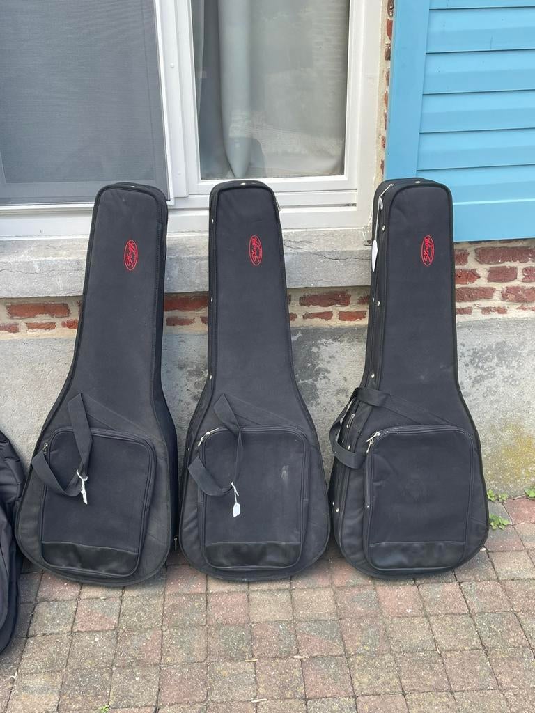 Gitaarzakken/casen en toebehoren, Muziek en Instrumenten, Behuizingen en Koffers, Ophalen, Zo goed als nieuw, Elektrische gitaar