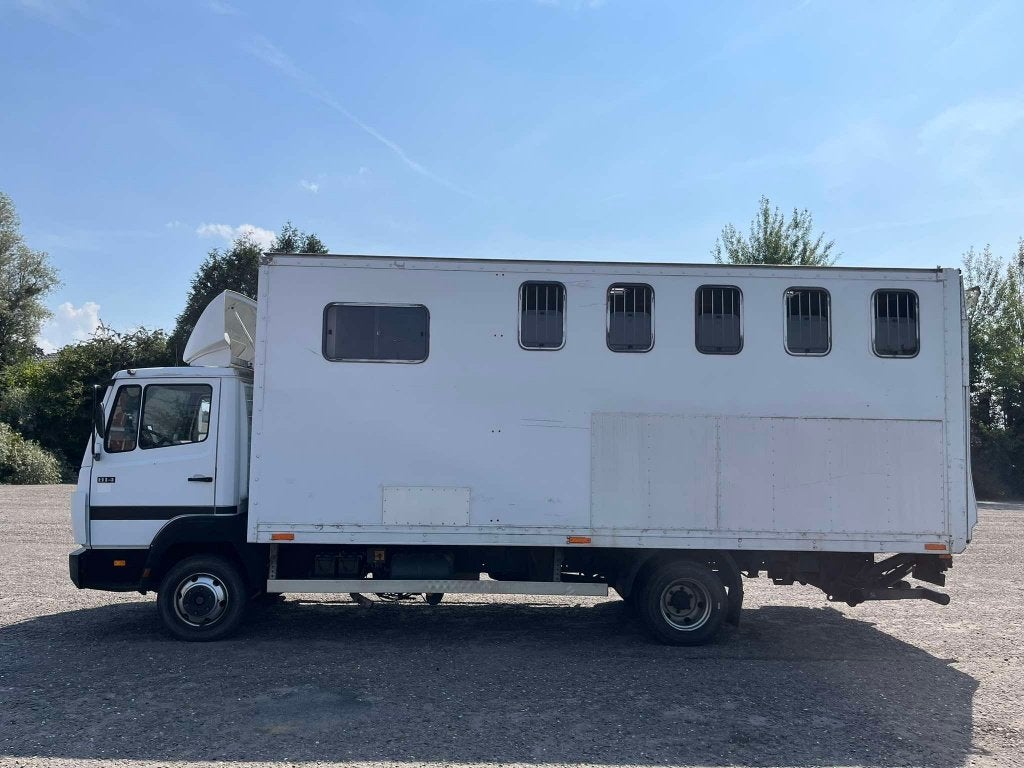 Camion chevaux, Dieren en Toebehoren, Ophalen, Gebruikt, Overige materialen, Overige typen