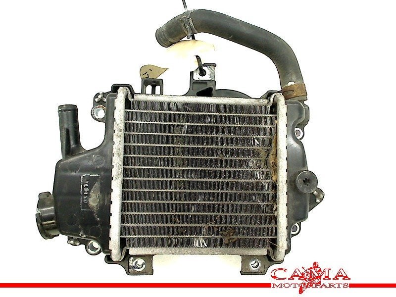 RADIATEUR Honda PCX 125 2013 (PCX125 JF47 ESP) (01-2013/-), Dhr. S. di Majo, Gebruikt, Info@cama-motorparts.nl, P.J. Troelstraweg 8 8
3144 CX  MAASSLUIS, NL