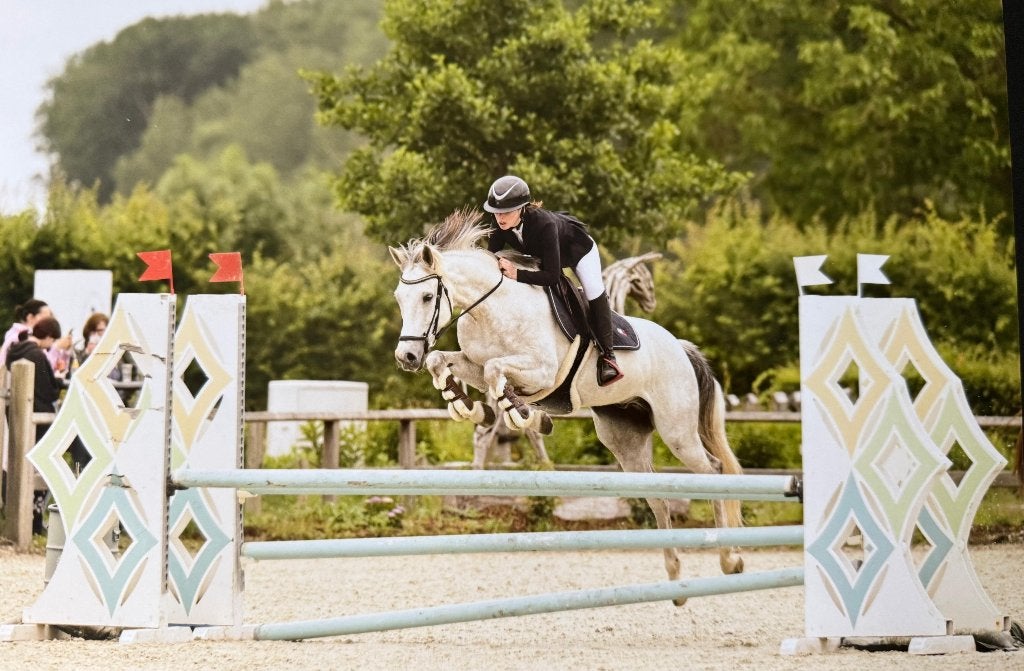 Amur PP - 8 jarige ruin – springpaard met potentieel, Dieren en Toebehoren, Paarden, Ruin, Niet van toepassing, Springpaard, 7 tot 10 jaar