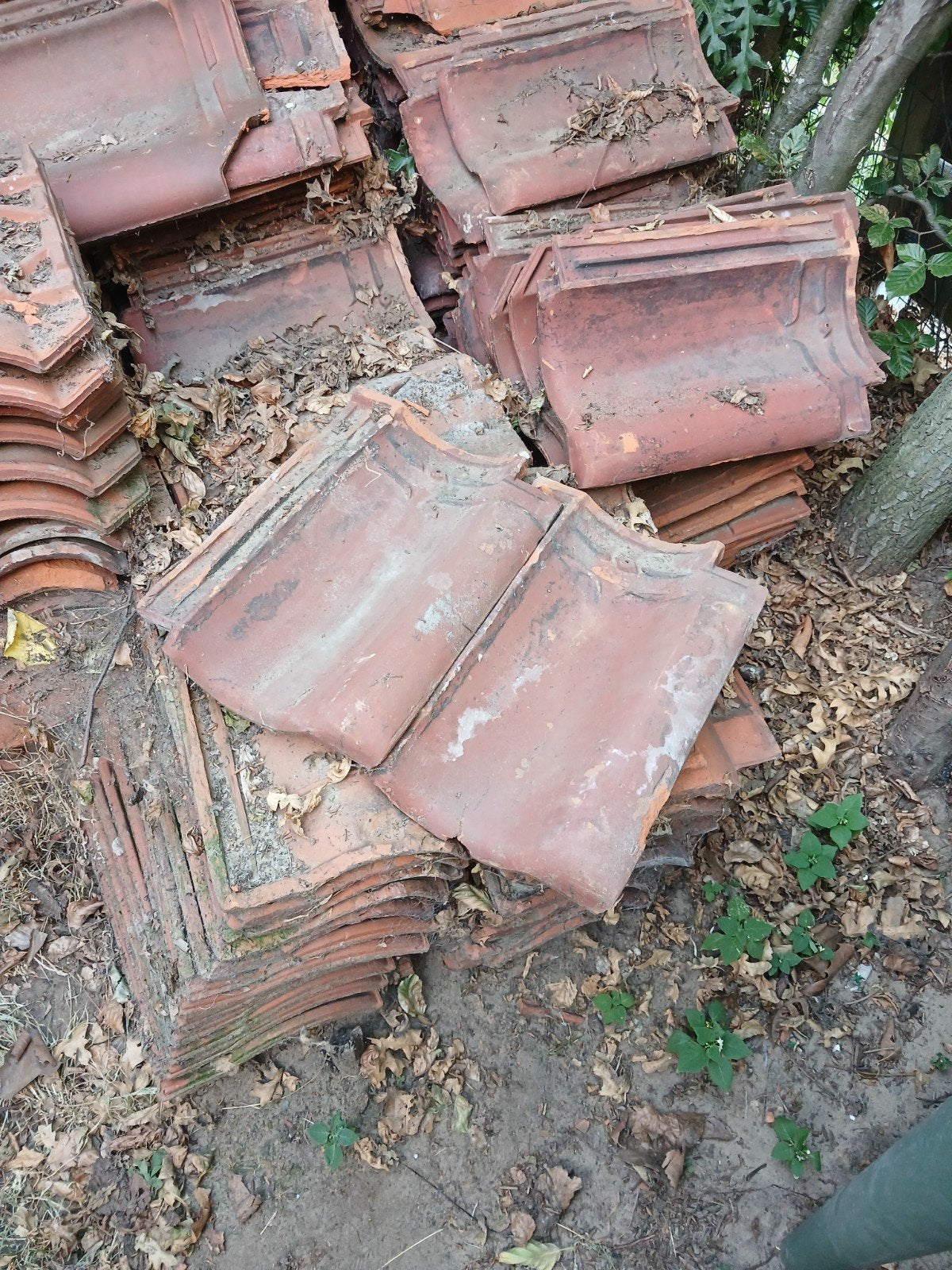 Oude pannen, Enlèvement