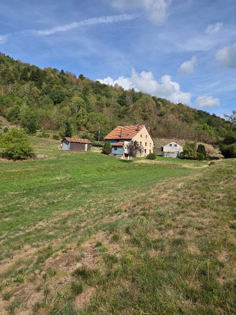 HTES VOSGES BUSSANG SLUIT 3 appartementen en 4 ha grond, Immo, Frankrijk, Woonhuis, Landelijk, BUSSANG