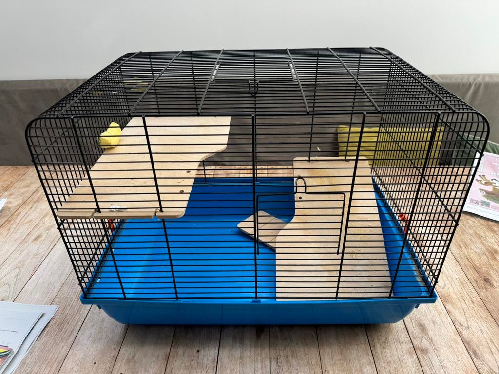 Kooi voor hamsters of andere knaagdieren, Kooi, Gebruikt, Muis, Minder dan 75 cm