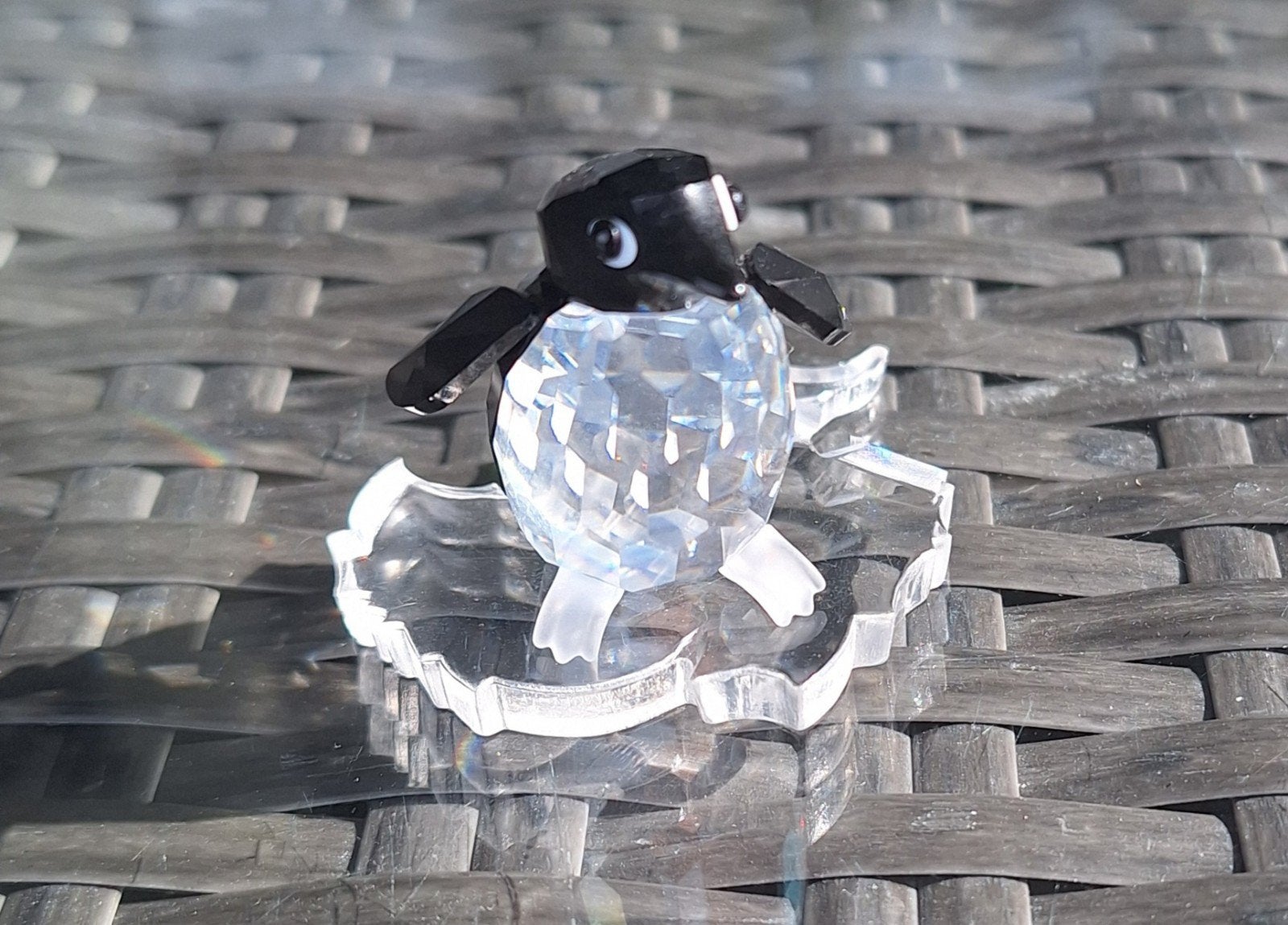 Pinguin meneer en Pinguin mevrouw Swarovski, Ophalen