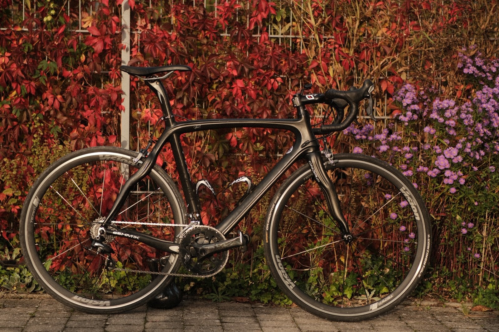 Pinarello Dogma (Full Carbon), Fietsen en Brommers, Gebruikt, Carbon, Ophalen, Overige merken