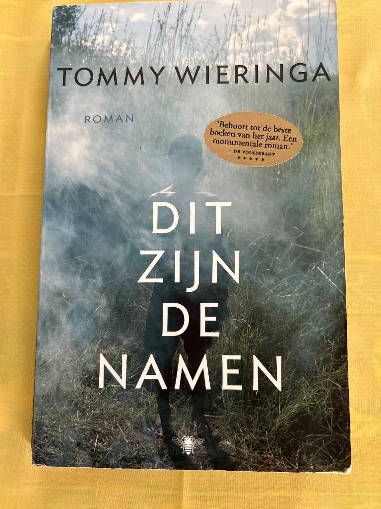 Tommy Wieringa - Dit zijn de namen, Enlèvement ou Envoi, Tommy Wieringa, Utilisé, Pays-Bas