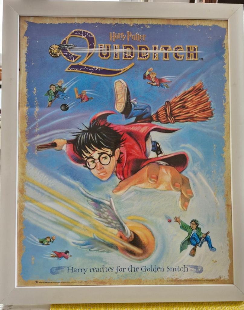 Harry Potter Quidditch poster in een witte kader, Verzamelen, Ophalen