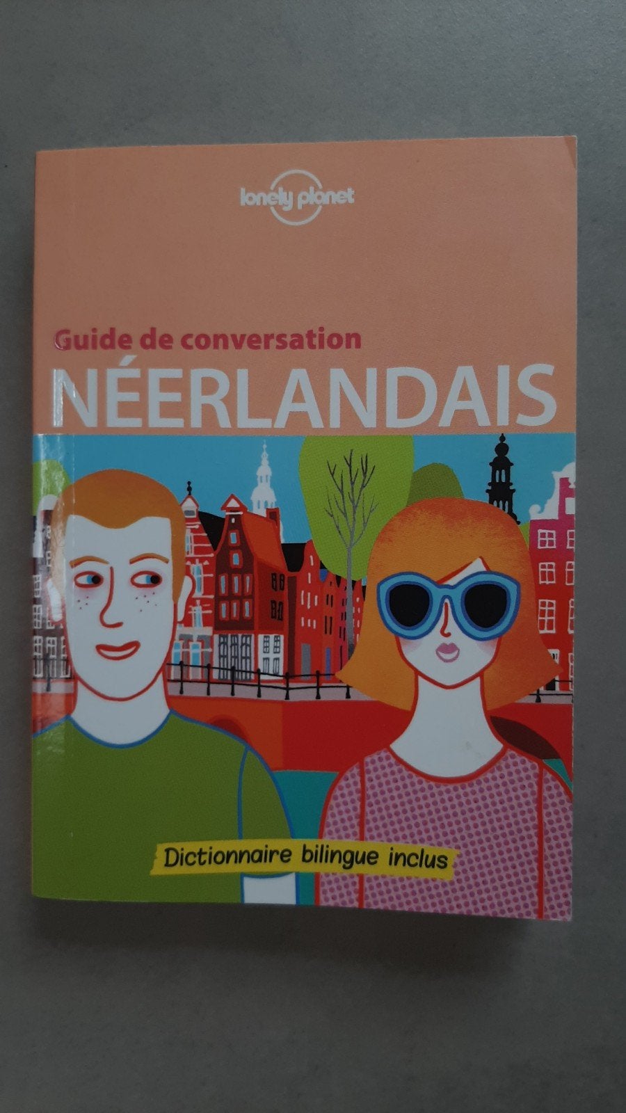 Guide de conversation Lonely planet néerlandais, Boeken, Ophalen of Verzenden, Taalgids, Lonely Planet