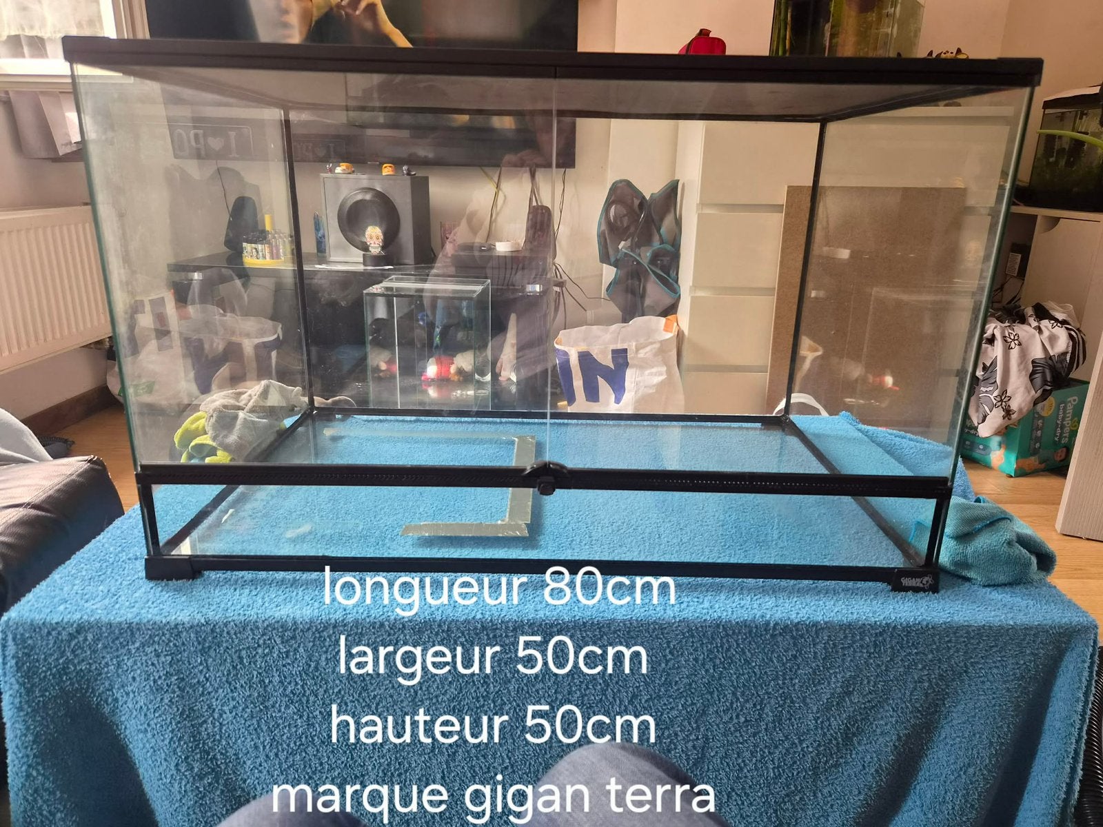 Terrarium a vendre, Enlèvement