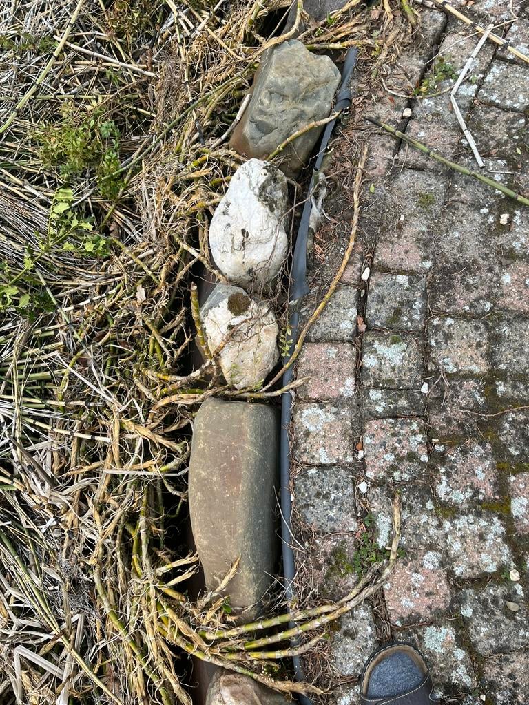 Rivierkeien gratis, Ophalen