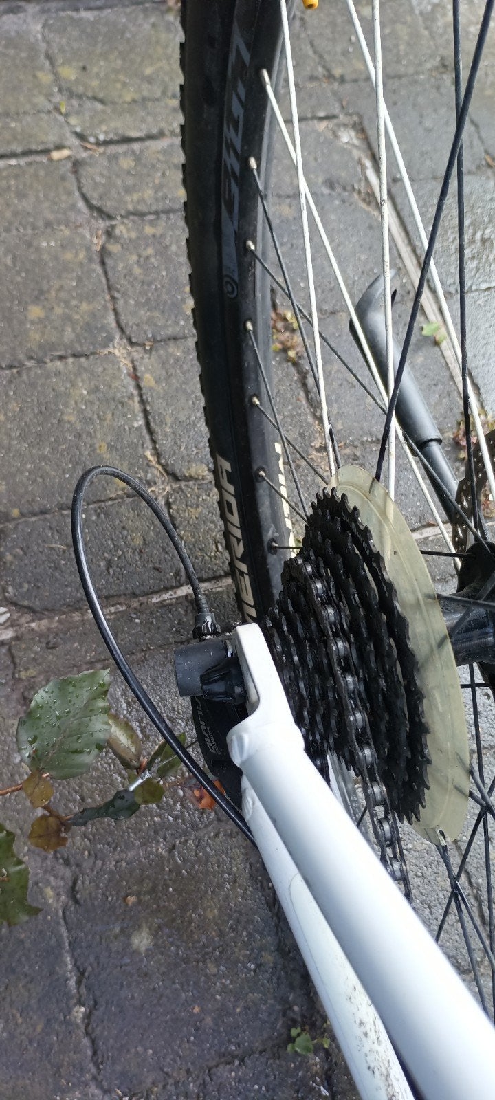 Mtb meisje, Fietsen en Brommers, Ophalen