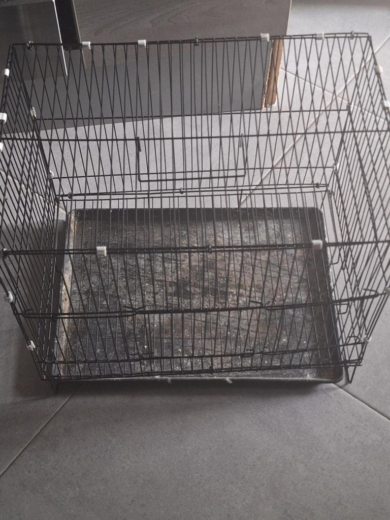 Cage, Enlèvement