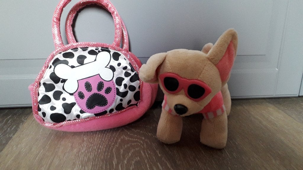 pup in tas, Chien, Enlèvement, Petit (moins de 20 cm), Avec vêtements ou accessoires