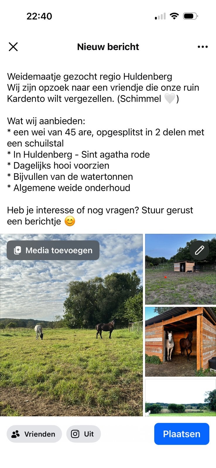 Weidemaatjes gezocht paarden