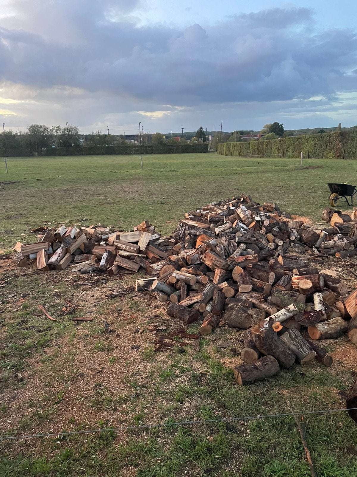 Brandhout, Enlèvement