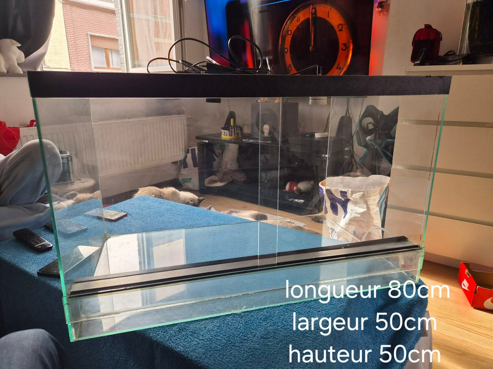 Terrarium a vendre, Enlèvement, Comme neuf