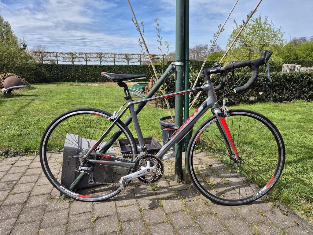 Giant koersfiets, Enlèvement