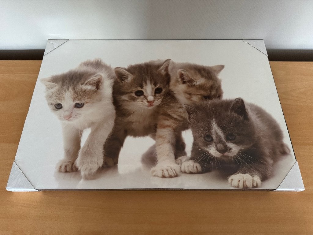 Schilderij kittens, Antiquités & Art, Art | Peinture | Moderne, Enlèvement ou Envoi, Effet 3D, Animaux