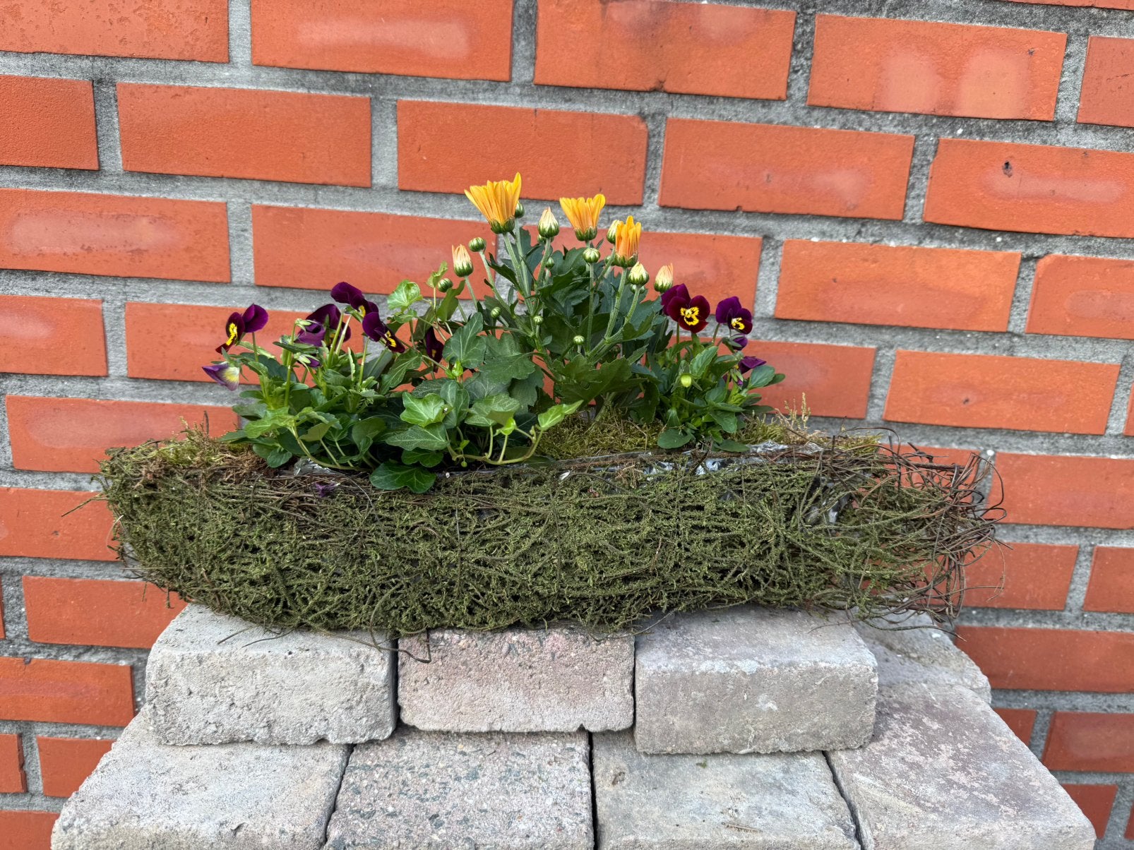 Opgevulde plantenmand, Ophalen, Herfst
