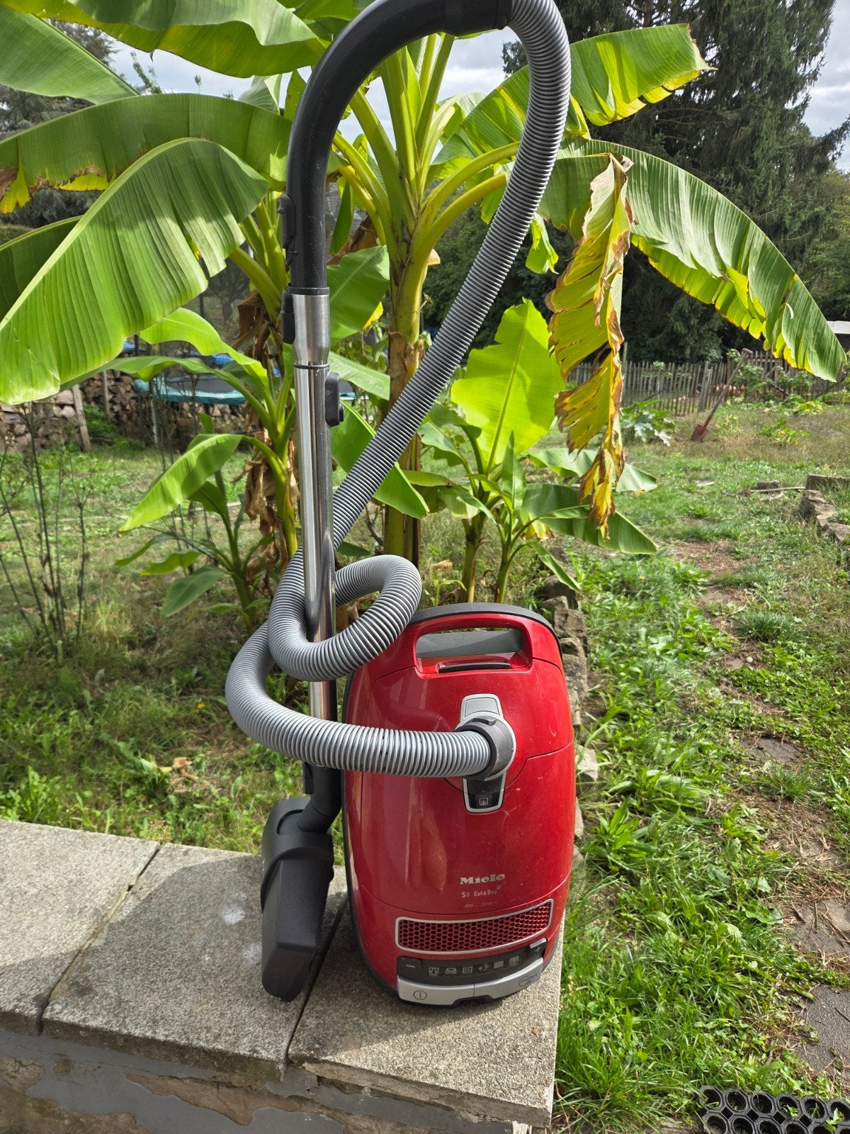 aspirateur miele S8 cat&doc . = 10/100 sur le prix affiché, Electroménager, Enlèvement, Miele